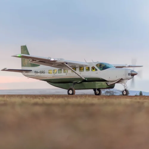 3-Day Midrange Fly-in Safari – Serengeti & Ngorongoro