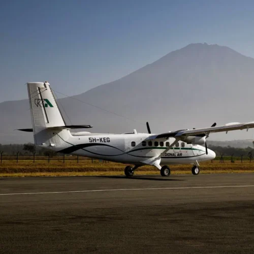 4-Day Midrange Serengeti Fly-in Safari
