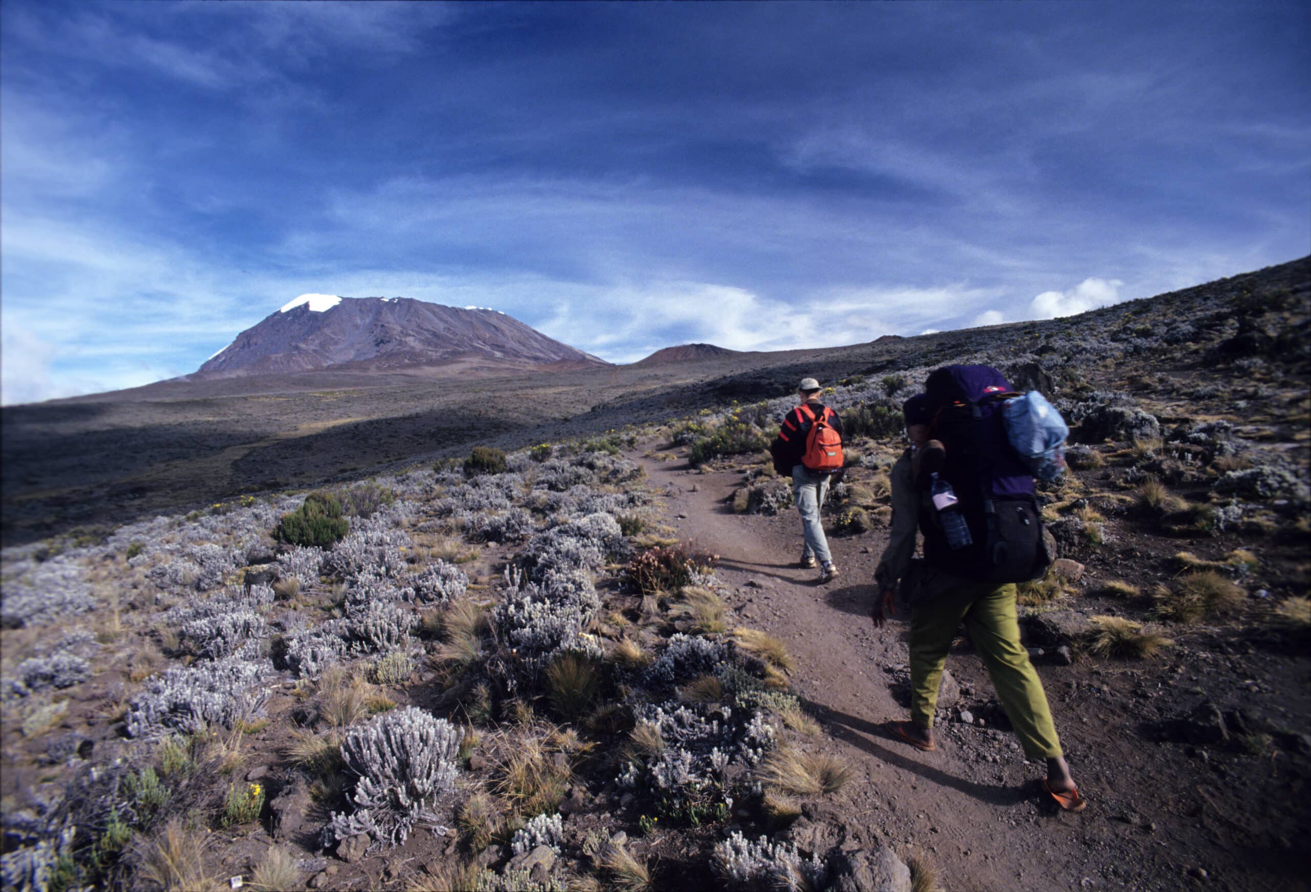 Mount Kilimanjaro: What to Expect When Climbing Africa’s Highest Peak