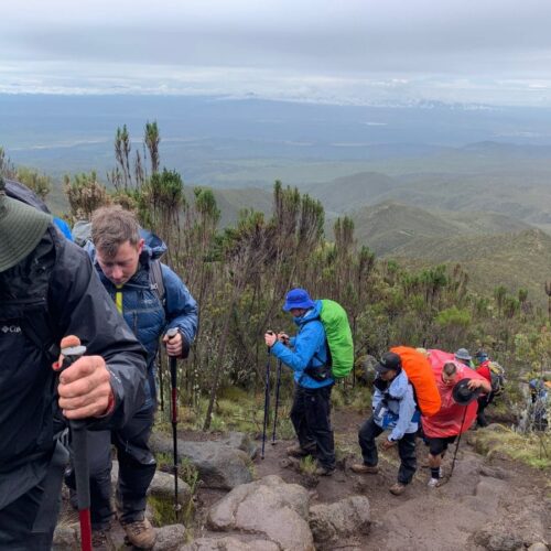 8-Day Lemosho Route Trek – Kilimanjaro Climb