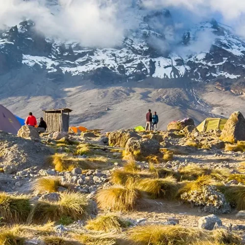 7-Day Machame Route Trek – Kilimanjaro Climb