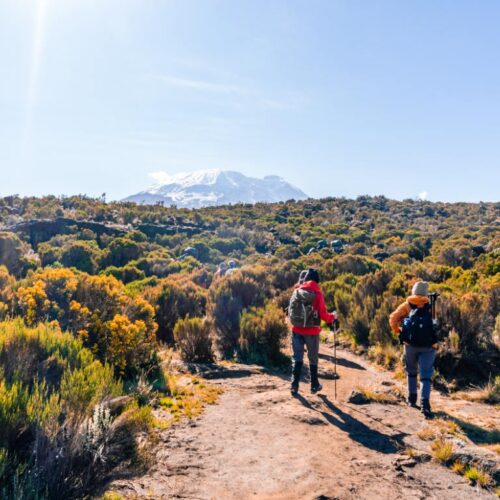 9-Day Northern Circuit Route Trek – Kilimanjaro Climb