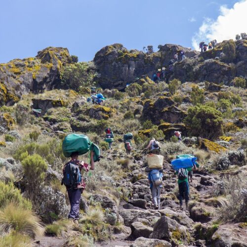7-Day Rongai Route Trek – Kilimanjaro Climb